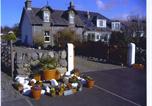 Springfield B&B
