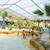 Camping Château des Ormes